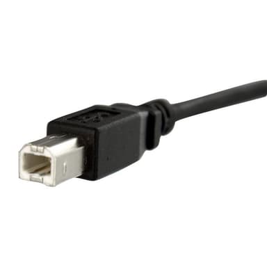 StarTech.com 3 ft Panel Mount USB Cable B to B - F/M view 4