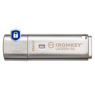 Kingston Technology IronKey 256GB Locker Plus 50 AES Encryption view 2