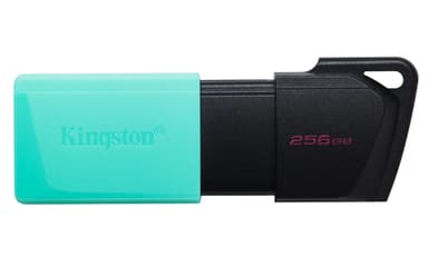 Kingston Technology DataTraveler 256GB USB3.2 Gen1 Exodia M (Black + Teal) view 1