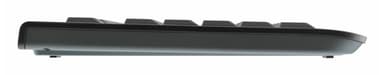 CHERRY DW 3000 view 2