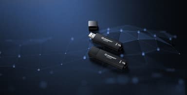 Kingston Technology IronKey 256GB D500S FIPS 140-3 Lvl 3 AES-256 view 10