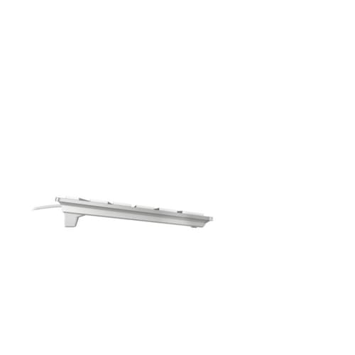 CHERRY KC 6000C FOR MAC keyboard Universal USB QWERTY US English Silver