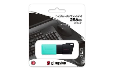 Kingston Technology DataTraveler 256GB USB3.2 Gen1 Exodia M (Black + Teal) view 6
