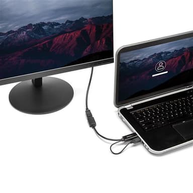 StarTech.com HDMI to DisplayPort Adapter - 4K 30Hz view 2