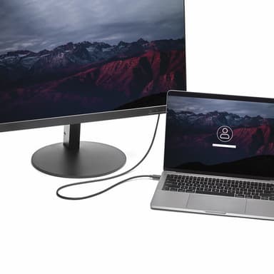 StarTech.com 6ft/1.8m USB C to DisplayPort 1.2 Cable 4K 60Hz - USB-C to DisplayPort Adapter Cable HBR2 - USB Type-C DP Alt Mode to DP Monitor Video Cable - Works w/ Thunderbolt 3 - Black view 5
