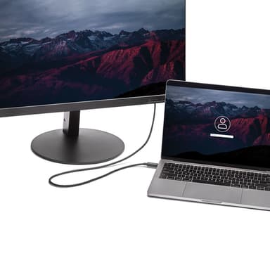 StarTech.com 6.6 ft. (2m) USB-C to DVI Cable - 1920 x 1200 - Black view 6
