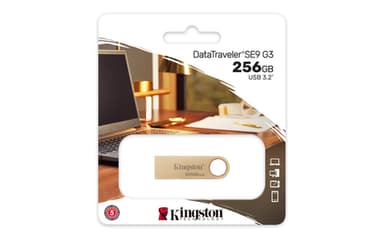 Kingston Technology DataTraveler 256GB 220MB/s Metal USB 3.2 Gen 1 SE9 G3 view 5