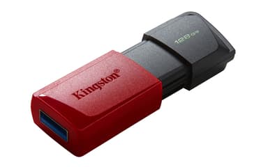 Kingston Technology DataTraveler 128GB USB3.2 Gen1 Exodia M (Black + Red) view 4
