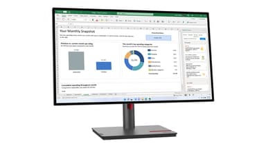 Lenovo ThinkVision P27h-30 computer monitor 68.6 cm (27") 2560 x 1440 pixels Quad HD LCD Black view 3