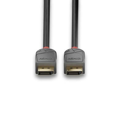 Lindy 10m DisplayPort 1.2 Cable, Anthra Line view 4