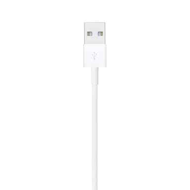 Apple Lightning to USB Cable (1m) view 4