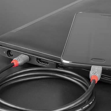 Lindy 1m USB 2.0 Type C to Micro-B Cable, Anthra Line view 3
