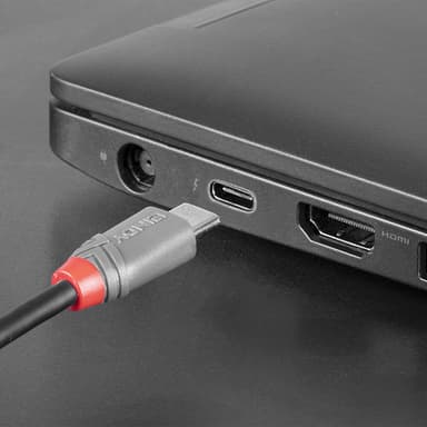 Lindy 1m USB 2.0 Type C to Micro-B Cable, Anthra Line view 5