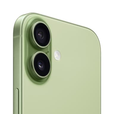 Apple iPhone 17 256GB Sage view 3