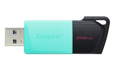Kingston Technology DataTraveler 256GB USB3.2 Gen1 Exodia M (Black + Teal) view 3