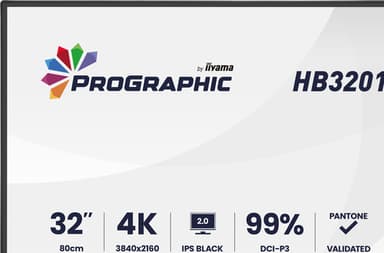 iiyama ProGraphic HB3201UHSNP-B1 computer monitor 80 cm (31.5") 3840 x 2160 pixels 4K Ultra HD Black view 5