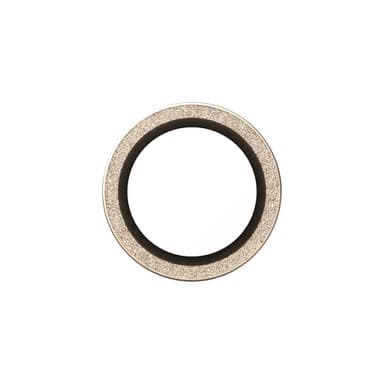 PanzerGlass ® Hoops® Camera Lens Protector Glitter Gold iPhone Air Clear screen protector Apple 1 pc(s) view 4