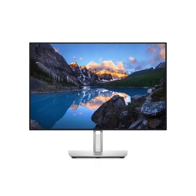 DELL UltraSharp U2421E computer monitor 61.2 cm (24.1") 1920 x 1200 pixels WUXGA LCD Silver view 1