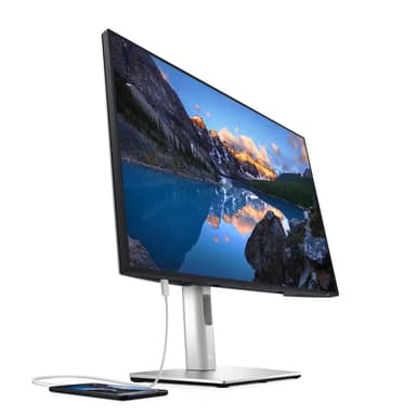 DELL UltraSharp U2421E computer monitor 61.2 cm (24.1") 1920 x 1200 pixels WUXGA LCD Silver view 4