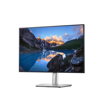 DELL UltraSharp U2421E computer monitor 61.2 cm (24.1") 1920 x 1200 pixels WUXGA LCD Silver view 2