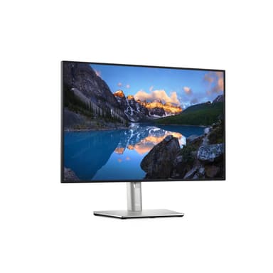 DELL UltraSharp U2421E computer monitor 61.2 cm (24.1") 1920 x 1200 pixels WUXGA LCD Silver view 3
