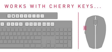 CHERRY DW 5100 keyboard Mouse included Home RF Wireless Czech, Slovakian Black view 3
