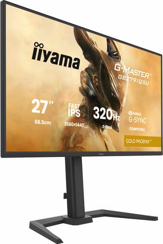 iiyama G-MASTER GB2791QSU-B1 computer monitor 68.6 cm (27") 2560 x 1440 pixels Wide Quad HD Black view 3