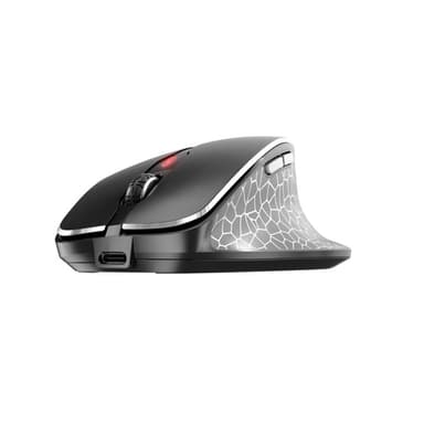 CHERRY MW 8C ERGO mouse Right-hand RF Wireless + Bluetooth Optical 3000 DPI view 2