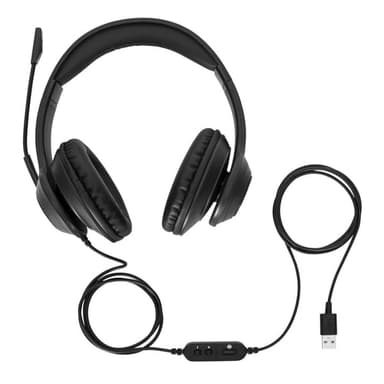 Targus AEH102GL headphones/headset Wired Head-band Calls/Music USB Type-A Black view 2