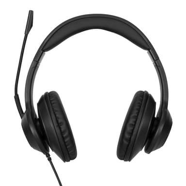 Targus AEH102GL headphones/headset Wired Head-band Calls/Music USB Type-A Black view 1