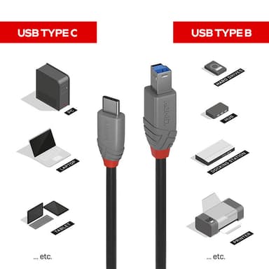 Lindy 3m USB 3.2 Type C to B Cable, Anthra Line view 5