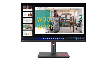 Lenovo ThinkVision P24q-30 computer monitor 60.5 cm (23.8") 2560 x 1440 pixels Quad HD LED Black view 5