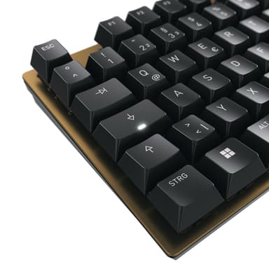 CHERRY KC 200 MX keyboard Universal USB QWERTY English Black, Bronze view 5