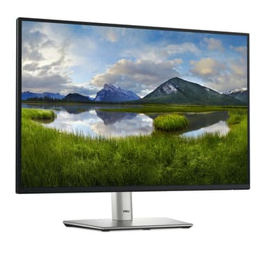 DELL Pro Plus P2425 computer monitor 61.1 cm (24.1") 1920 x 1200 pixels WUXGA LCD Black view 3