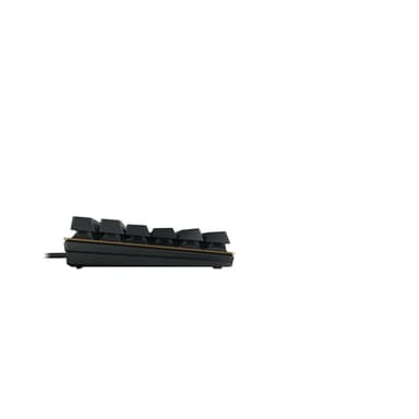 CHERRY KC 200 MX keyboard Universal USB QWERTY English Black, Bronze view 4