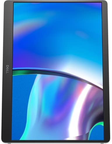 DELL Pro Plus P1425 computer monitor 35.6 cm (14") 1920 x 1200 pixels WUXGA LCD Silver view 3