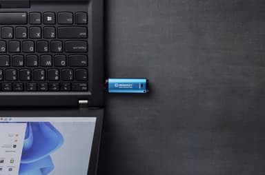Kingston Technology IronKey 256GB USB-C Vault Privacy 50C AES-256 Encrypted, FIPS 197 view 7