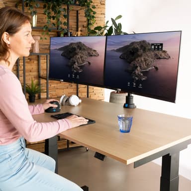 R-Go Tools Monitor arm R-Go Caparo Dual, for two monitors, adjustable with gas spring, 3-9 kg load capacity, 100% circular, black view 7