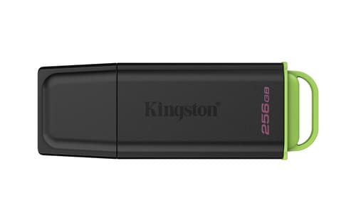 Kingston Technology DataTraveler 256GB Portable USB 3.2 Gen 1 Exodia Black/Green