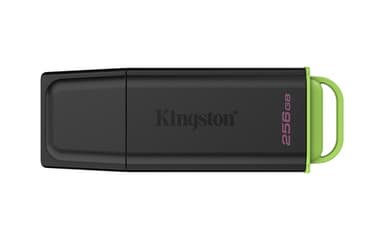 Kingston Technology DataTraveler 256GB Portable USB 3.2 Gen 1 Exodia Black/Green view 1