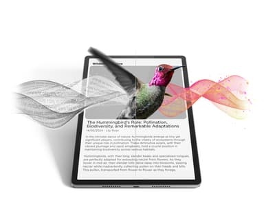 Lenovo Idea Tab Pro Mediatek 128 GB 32.3 cm (12.7") 8 GB Wi-Fi 6E (802.11ax) Android 14 Grey view 22
