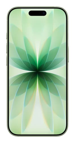 Apple iPhone 17 256GB Sage view 2