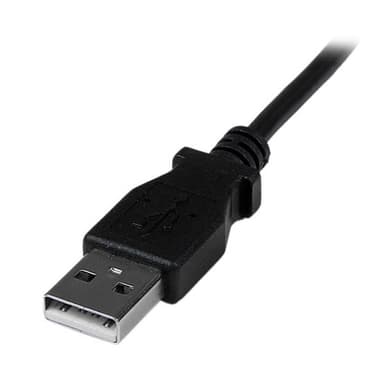 StarTech.com 2m Mini USB Cable - A to Down Angle Mini B view 3