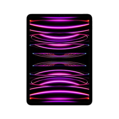 Apple iPad Pro 4th Gen 11in M2 Wi-Fi 2000GB - Space Grey view 1