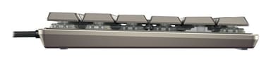 CHERRY KC 500 MX LP TKL keyboard Home/Office USB QWERTZ German Grey view 5